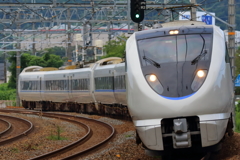 サントリーカーブ