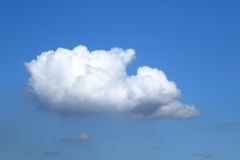 筋斗雲