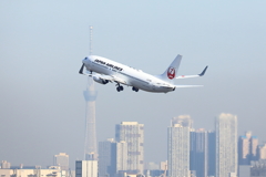 羽田空港　午前の部