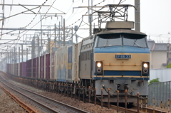 絶滅危惧種　ＥＦ６６