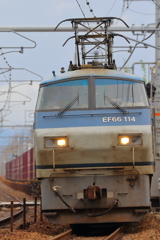 ６６鮫