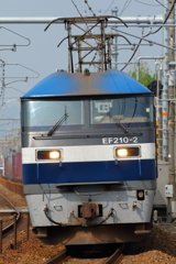 鉄分補給