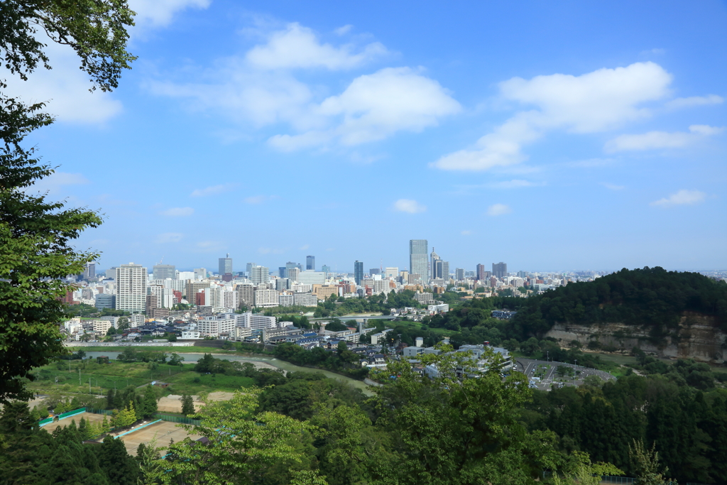 仙台市全景