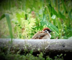 5月の連休、山形にて