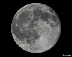 5月22日の月　今日は満月を撮影