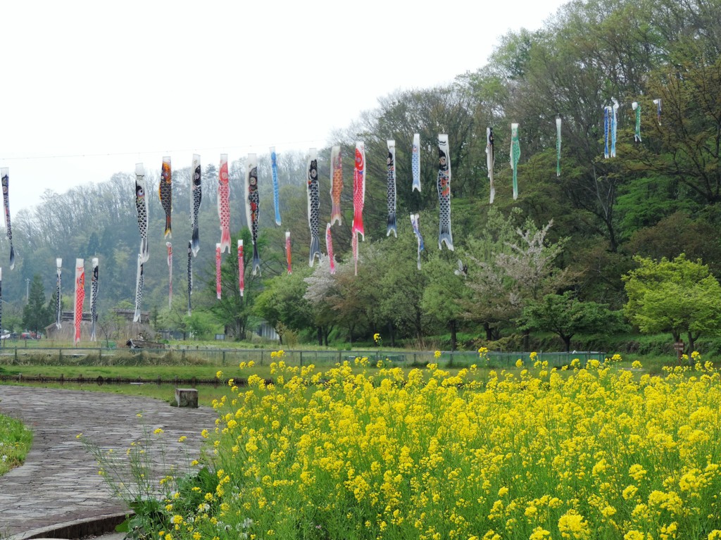 安久津八幡神社にこいのぼり