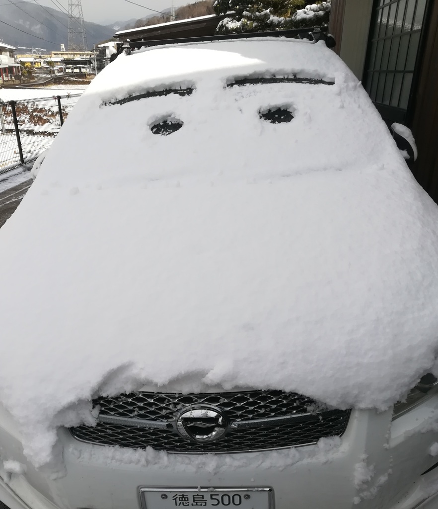 今朝も雪･･･