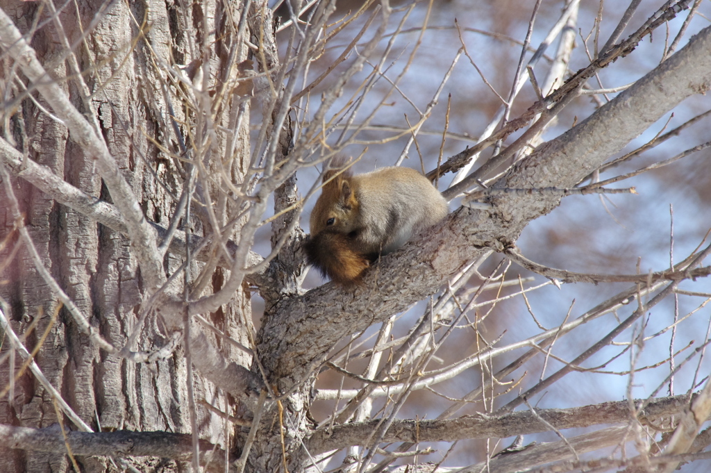 くんくん匂う？