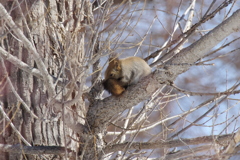 くんくん匂う？