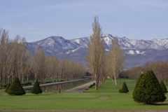 たまに行く公園