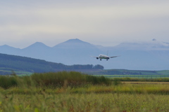 AIR DO Boeing 767-300