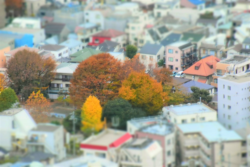 我が街、秋の夕刻