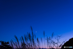 秋の空