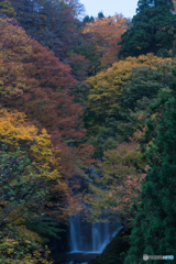 秋田県由利本荘　亀田不動滝