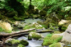 渓流