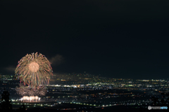 花火と夜景のコラボ2