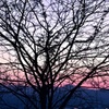 夕方