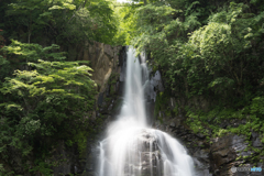 9月に入っても暑い日が続きますが