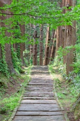 羽黒山 2446段の石段