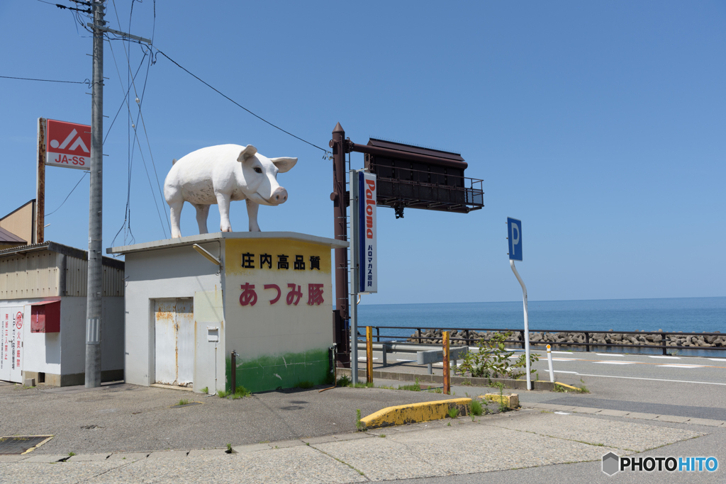 通るたびに気になる温海の豚