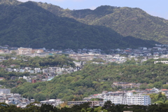２０１７春