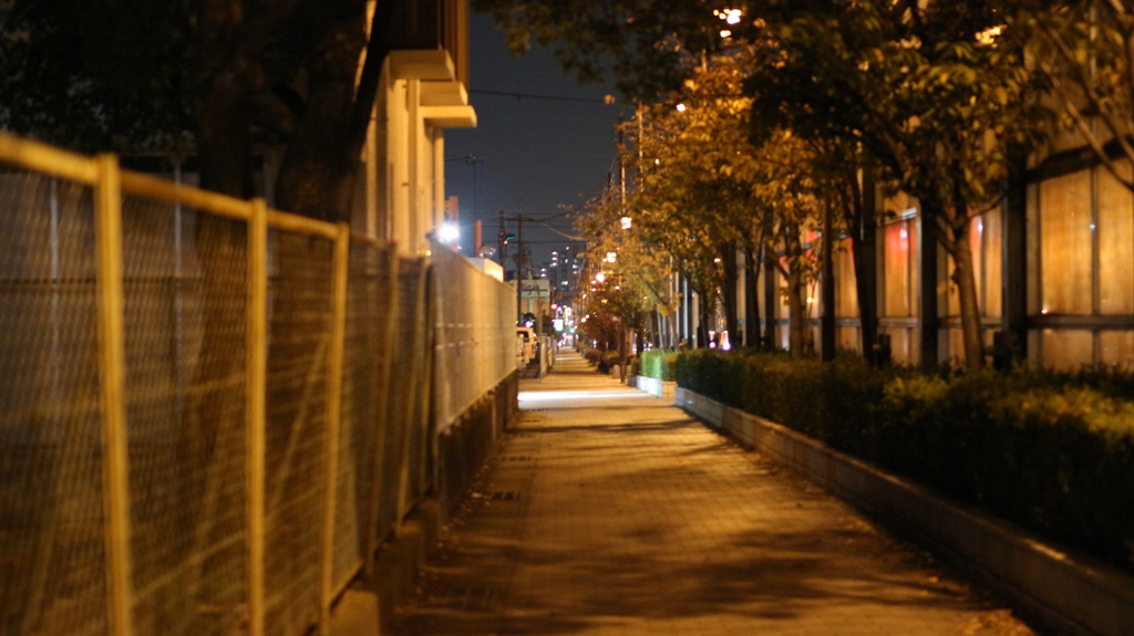 夜道