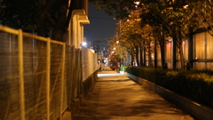 夜道