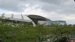 飛行機と競馬場