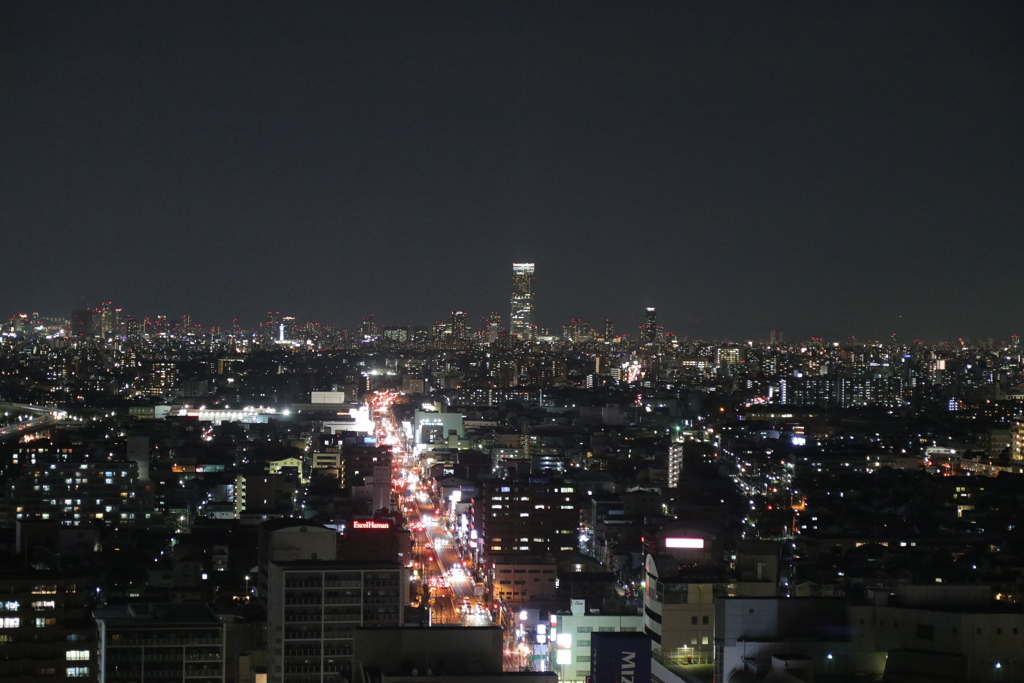 堺市からのハルカス　夜景