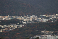 高校  