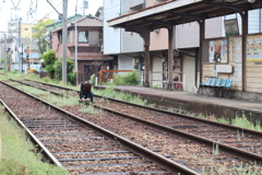 おいおい、そこまでして撮りたい？