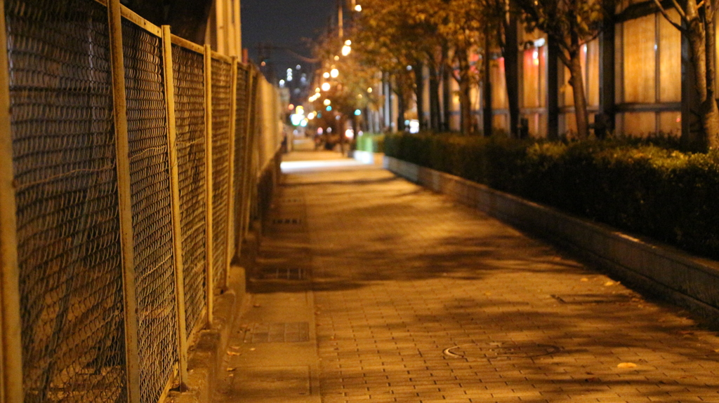 夜道 2