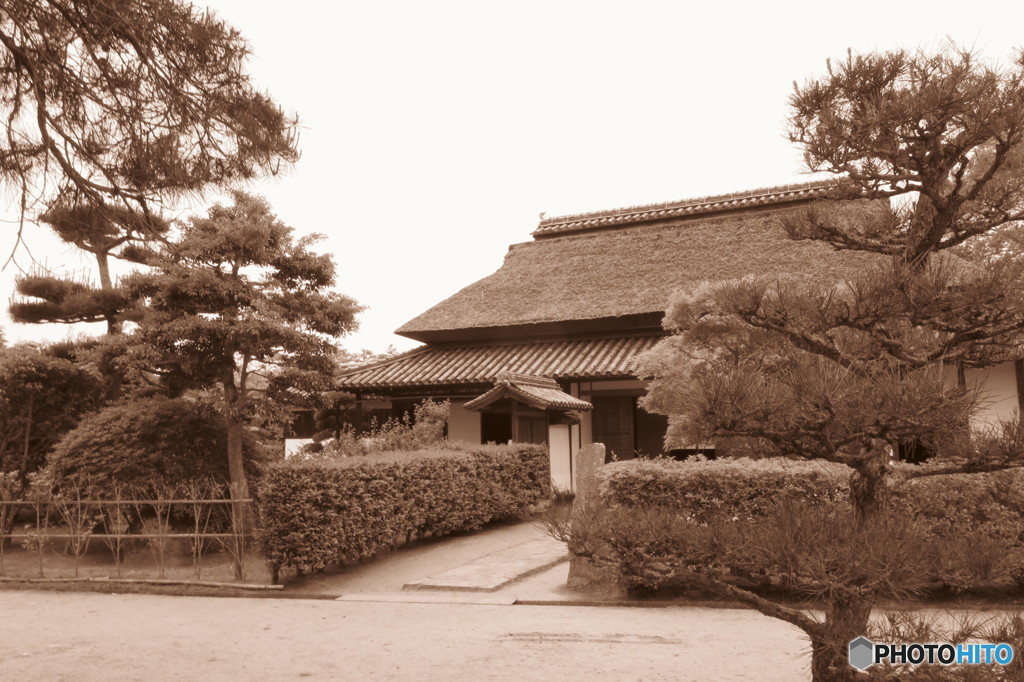 風情
