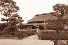 風情