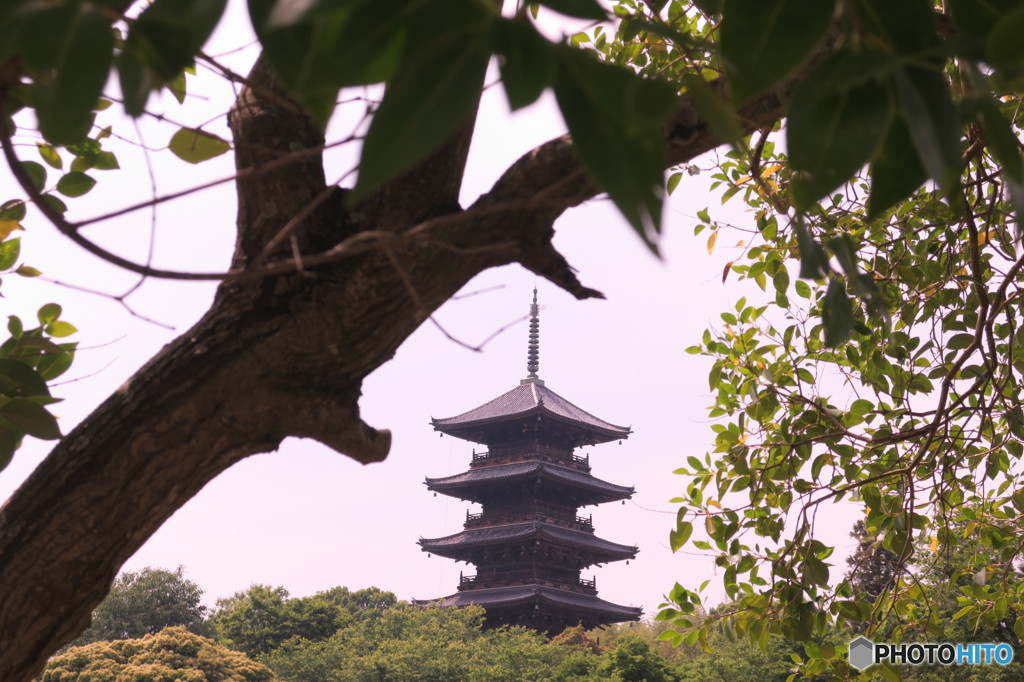 五重塔