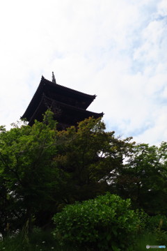 木々に囲まれて