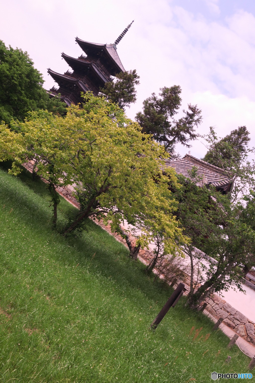 塔を望む