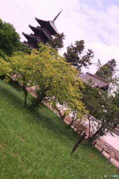 塔を望む