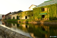夕暮れ時の小樽運河