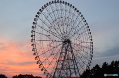 夕焼けと観覧車