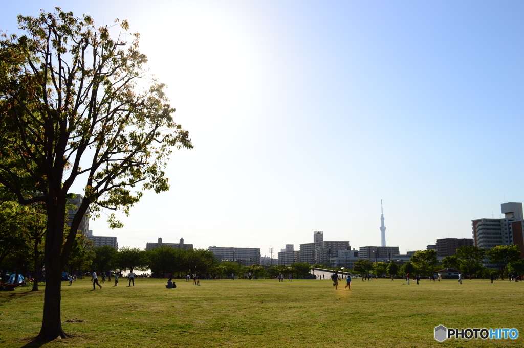 とある日の公園