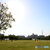 とある日の公園