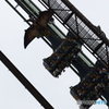 THE FLYING DINOSAUR♪