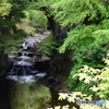 濃溝の滝