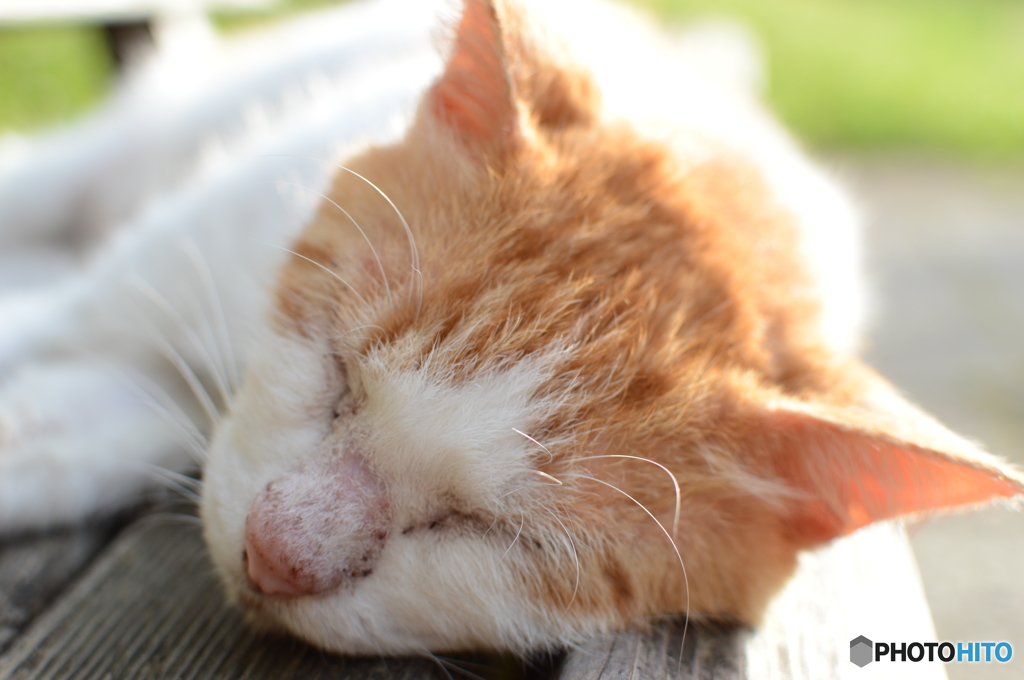 眠い。。。