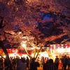 高遠城趾公園の夜桜