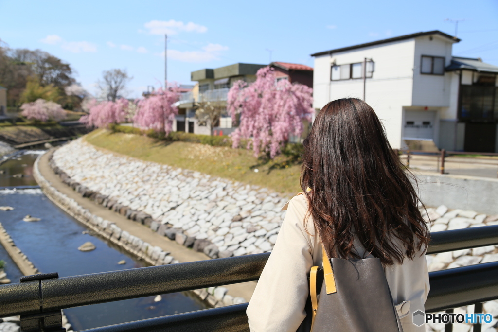 春の谷津田川