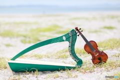 夏のバイオリンとハープ