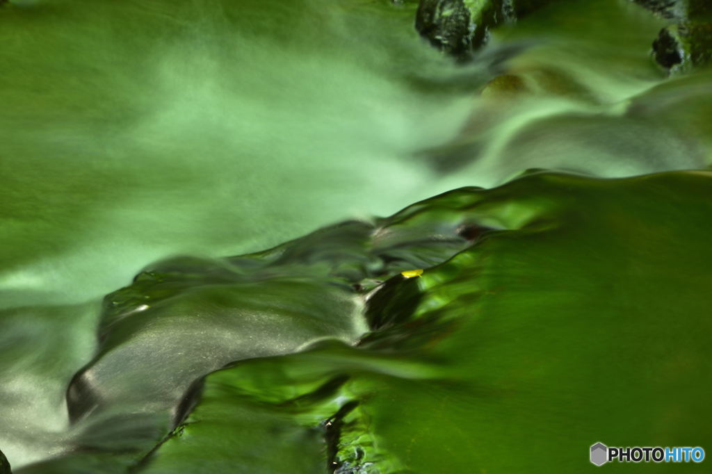 Fascinated green