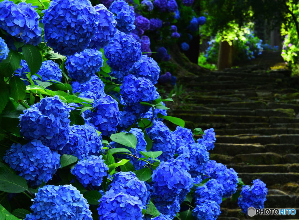 Stone steps of the blue